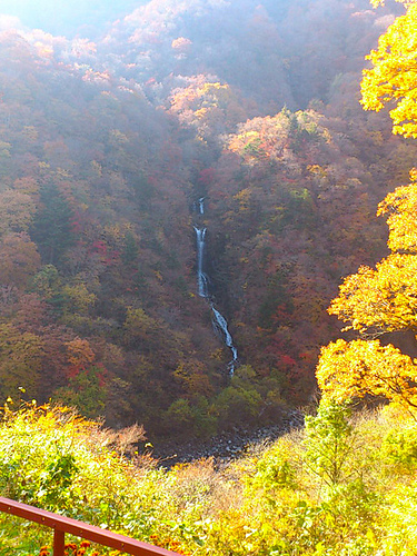 蛇王の滝　パステル画　奥日光 20231018142851_160-3.jpg