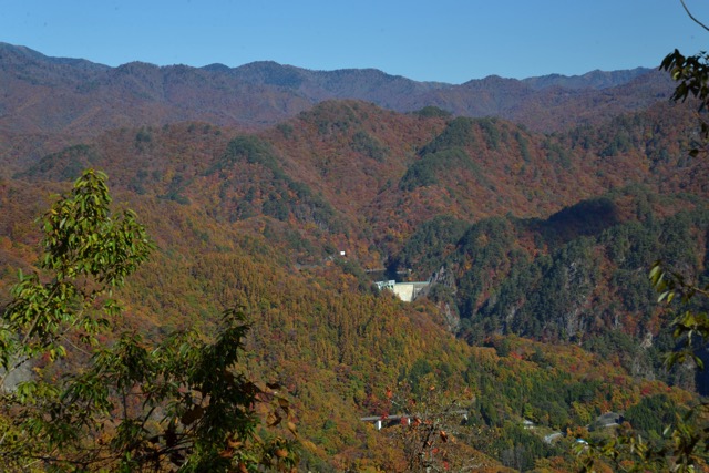 DSC 2459