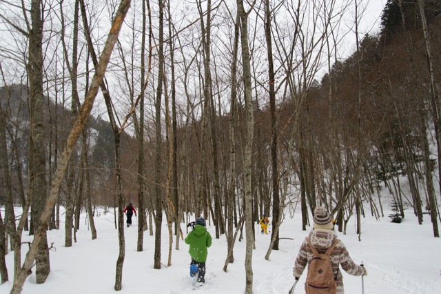 Okukinu snowshoe 18