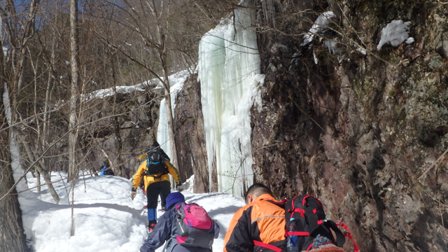 Okukinu snowshoe 59