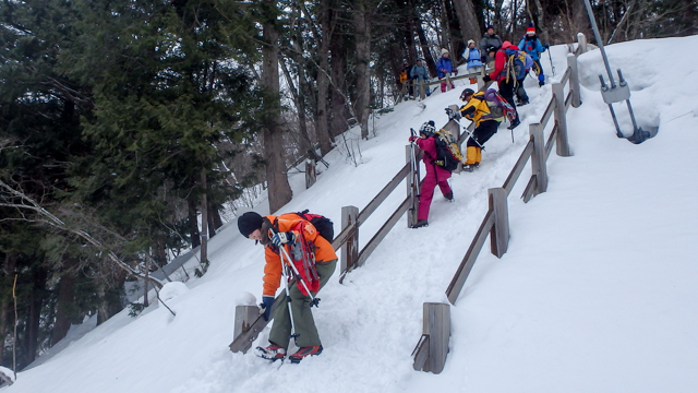 Okukinu snowshoe 94
