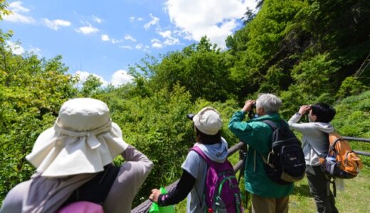 【2015④ バードウォッチングと自然観察レポ】“五感フル活用”で生き物や自然の深さを知る