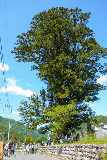 Kamikuri ishiyaki2015 07