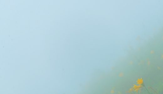 【周辺観光】ニッコウキスゲの霧降高原キスゲ平園地は、栗山から車で20分！