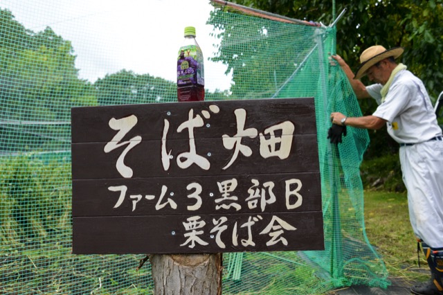 Kurisoba 39