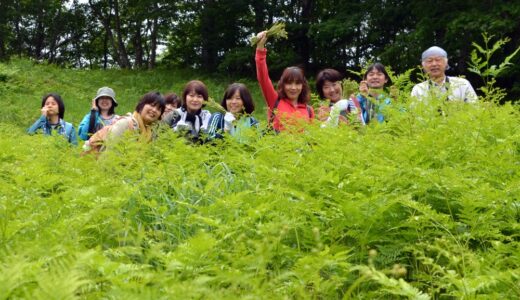 下のソーシャルリンクからフォロー