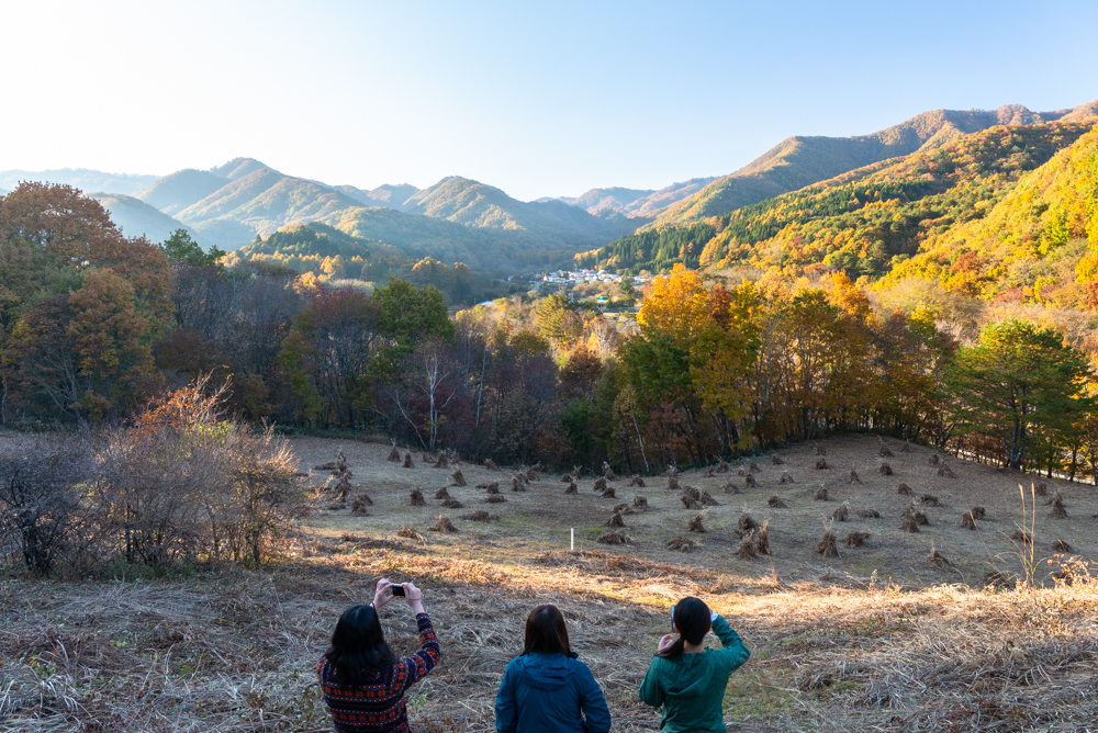 土呂部 茅ボッチのある風景(紅葉)