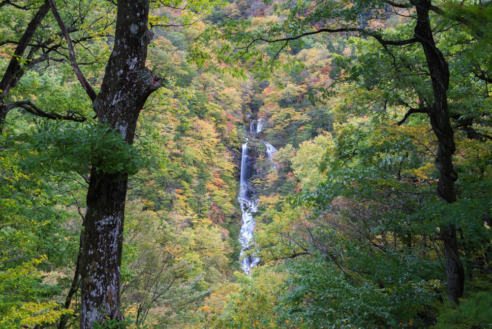 蛇王の滝(紅葉)